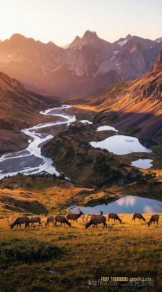 R星9.1大赛精选影视 - AI影视制作教程 - 9.1 大赛获奖作品 AI 复刻